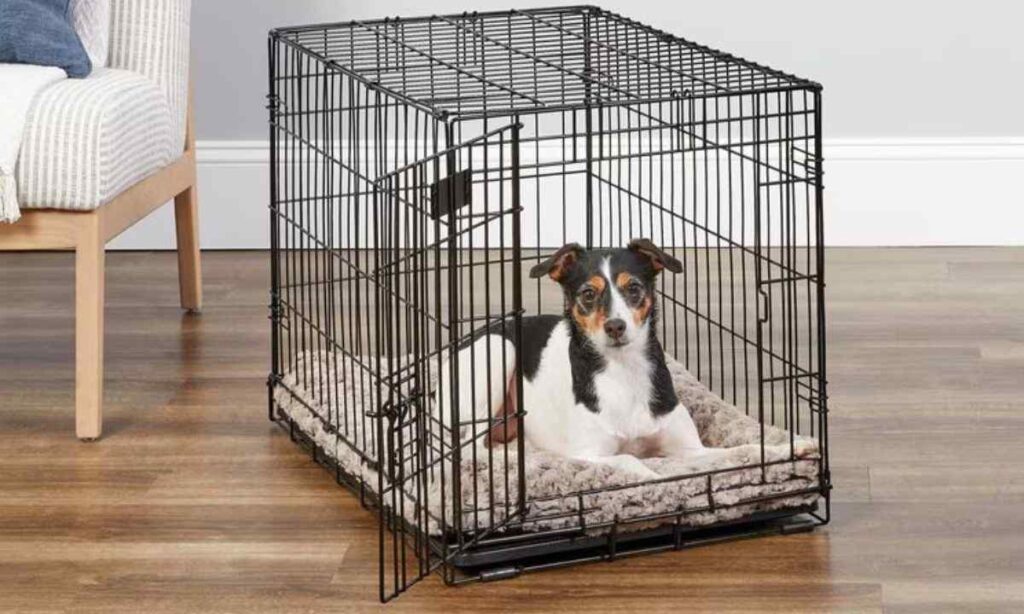 A Medium Dog Crate