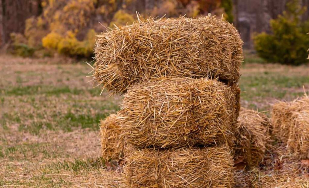 A Small Bale of Hay