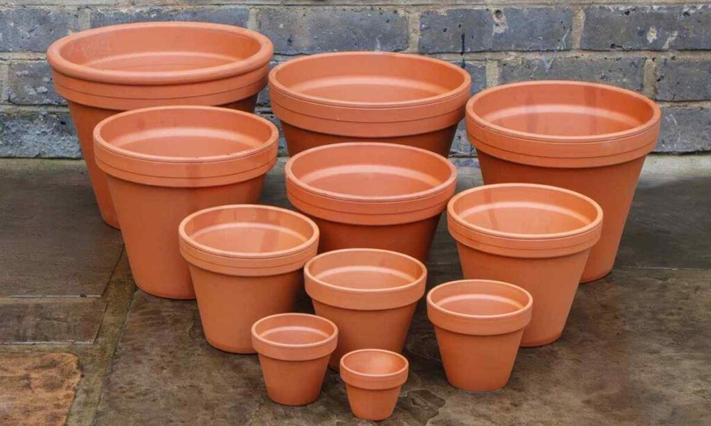 A Standard Plant Pot