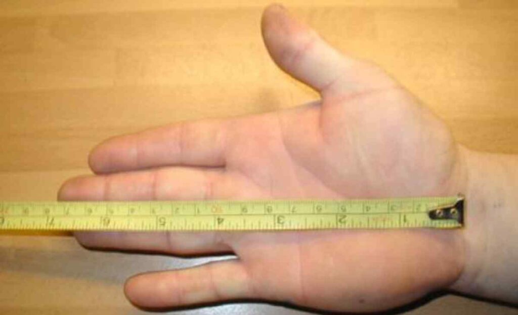 Average Male Hand