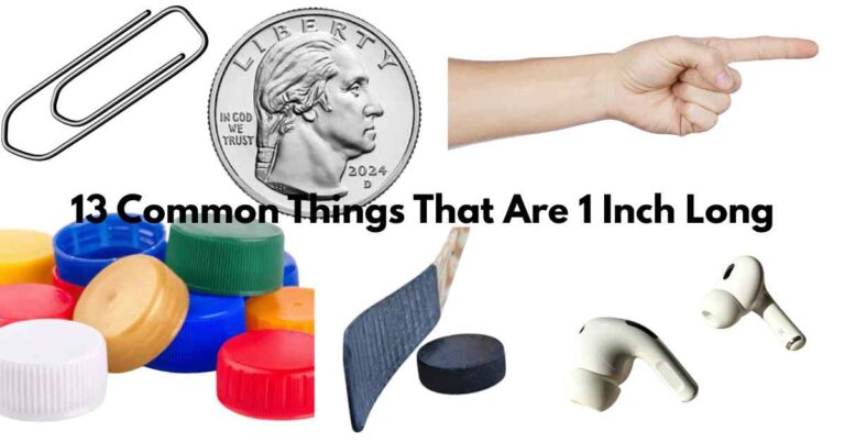 Common Things That Are 1 Inch Long Feature Image