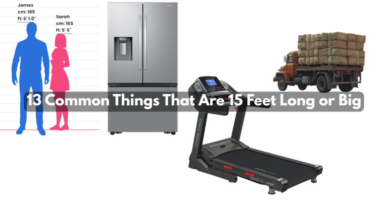 Common Things That Are 15 Feet Long or Big Feature Image