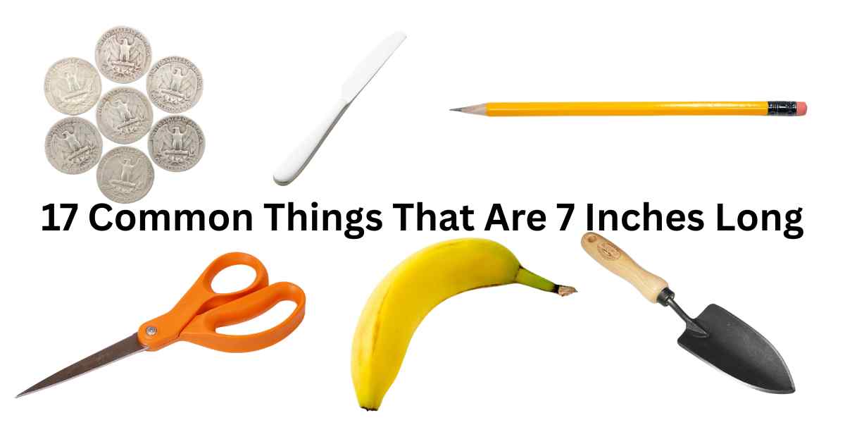 Common Things That Are 7 Inches Long Feature Image