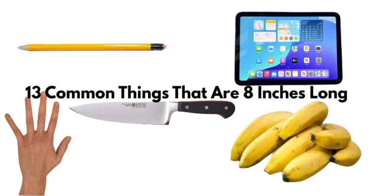 Common Things That Are 8 Inches Long Feature Image