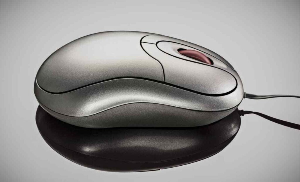 Computer Mouse