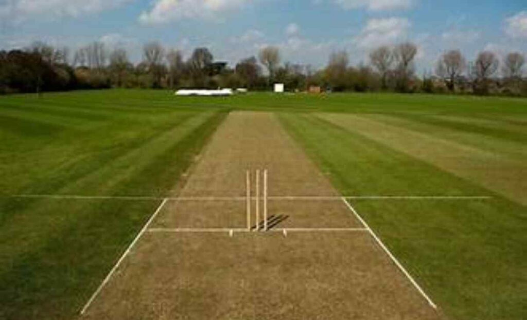 Cricket Pitches