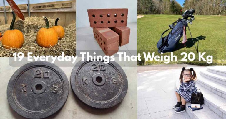 Everyday Things That Weigh 20 Kg Feature Image