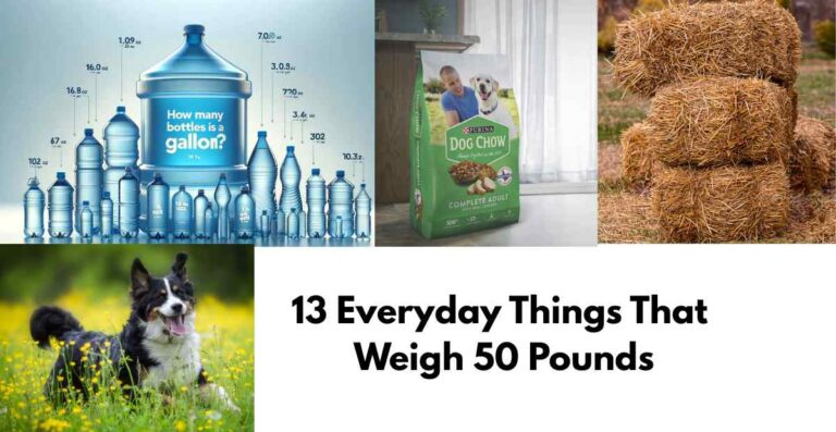Everyday Things That Weigh 50 Pounds Feature Image