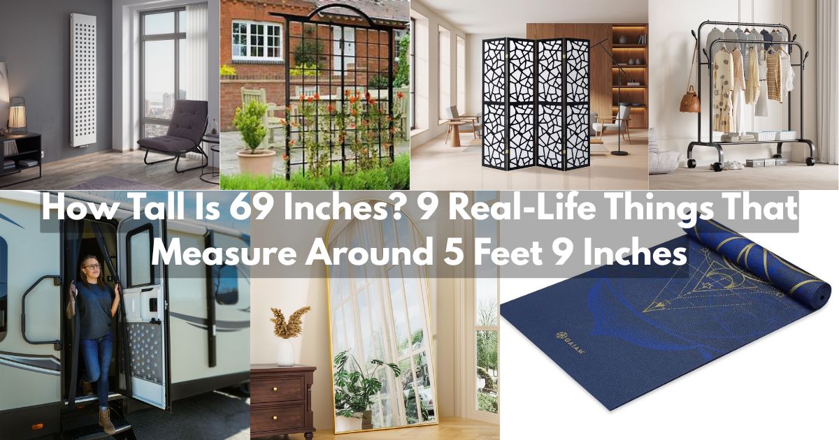 How Tall Is 69 Inches Feature Image