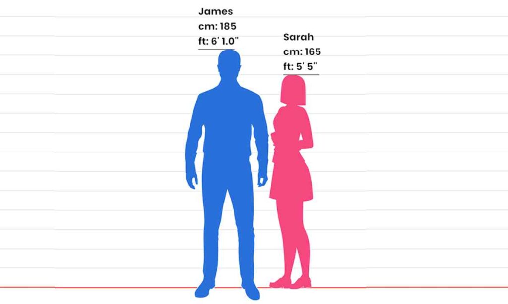 Human Height Comparisons