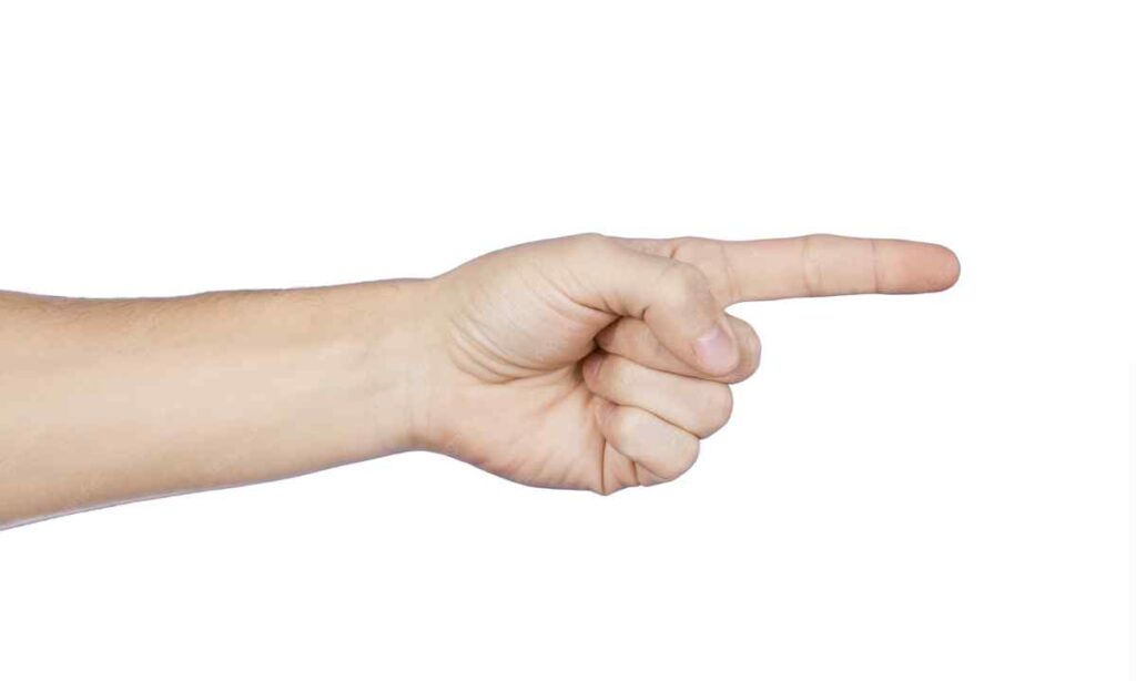 Index Finger