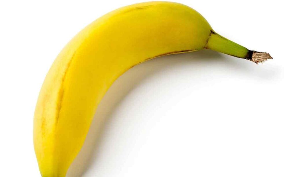 Medium Sized Banana