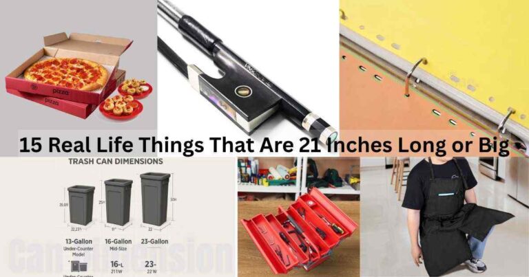Real Life Things That Are 21 Inches Long or Big Feature Image