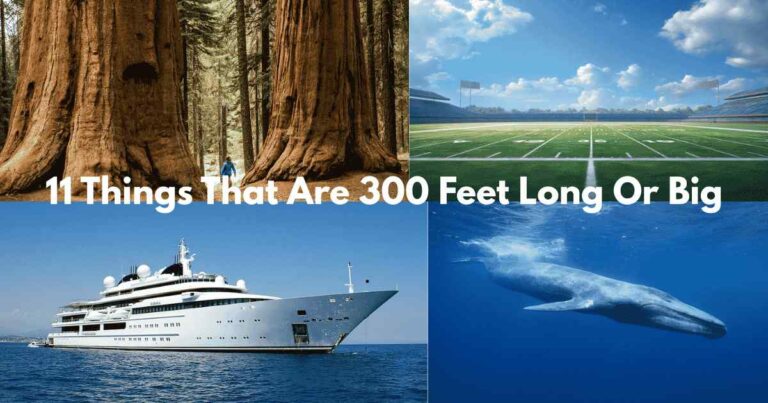 Things That Are 300 Feet Long Or Big Feature Image