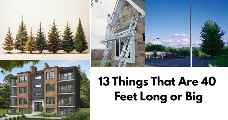 Things That Are 40 Feet Long or Big Feature Image