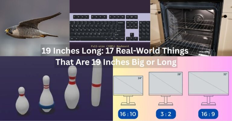 19 Inches Long Feature Image