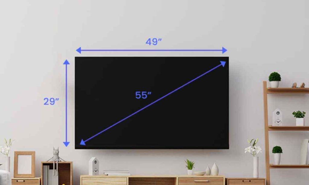 65 Inch Television (Screen Width)