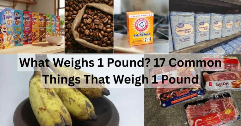 What Weighs 1 Pound Feature Image
