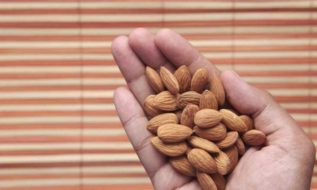 A Handful of Almonds