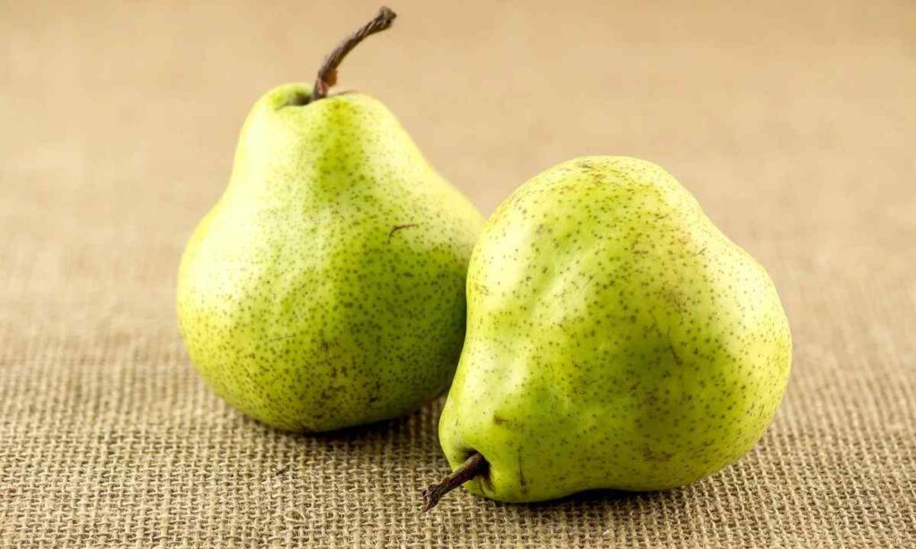 A Small Pear